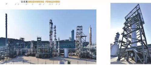 四川美豐一項(xiàng)關(guān)鍵化工工藝通過科技成果鑒定，引領(lǐng)行業(yè)綠色高效發(fā)展